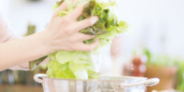 Flimmern DC – Designstudio und Werbeagentur