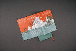 Illustrierter Schutzumschlag des Buches 